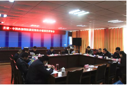 井研·中国西部国际家居特色小镇项目评审会召开